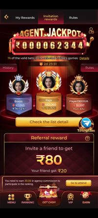 IW77 Game account dashboard on Android